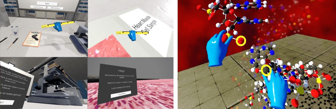 Teaching DNA Structure in VR